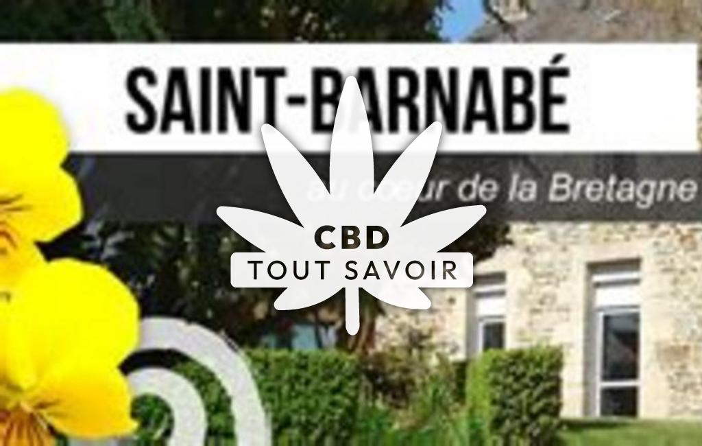 Village à Saint-Barnabe avec feuille Cannabis CBD
