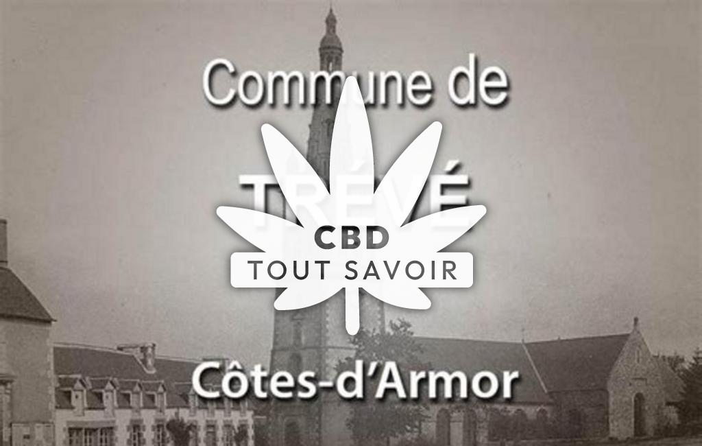 Village à Treve avec feuille Cannabis CBD