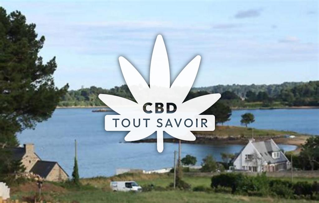 Village à Lanmodez avec feuille Cannabis CBD