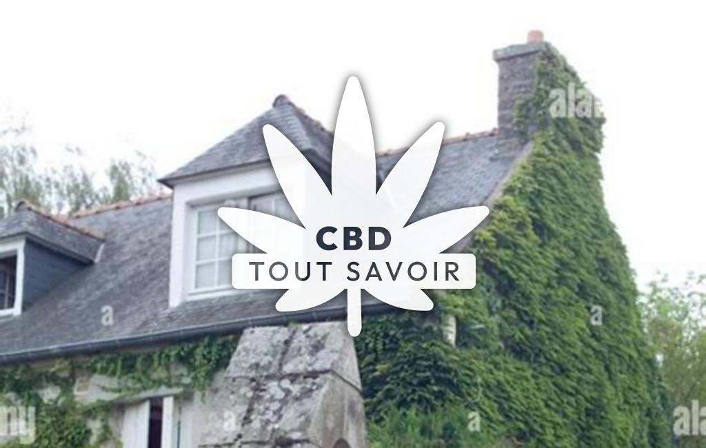 Village à Trefumel avec feuille Cannabis CBD