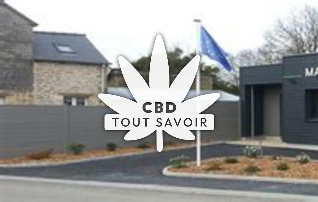 Village à Saint-Andre-des-Eaux avec feuille Cannabis CBD