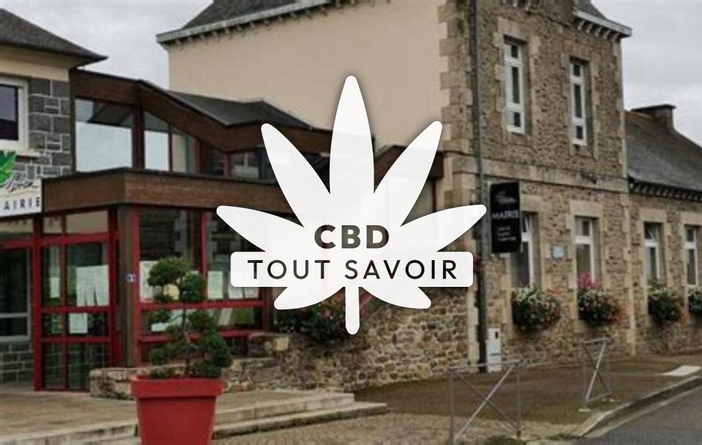 Village à Plestan avec feuille Cannabis CBD