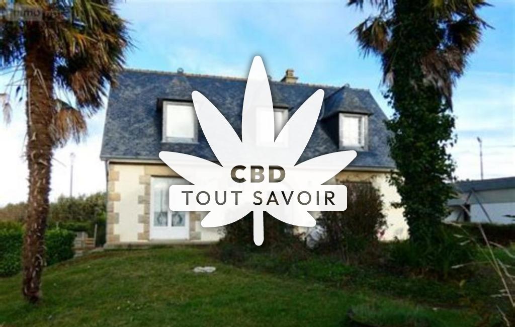 Village à Beaussais-sur-Mer avec feuille Cannabis CBD