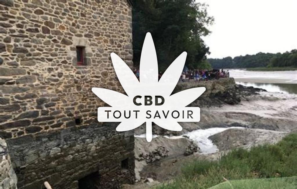 Village à La-Vicomte-sur-Rance avec feuille Cannabis CBD