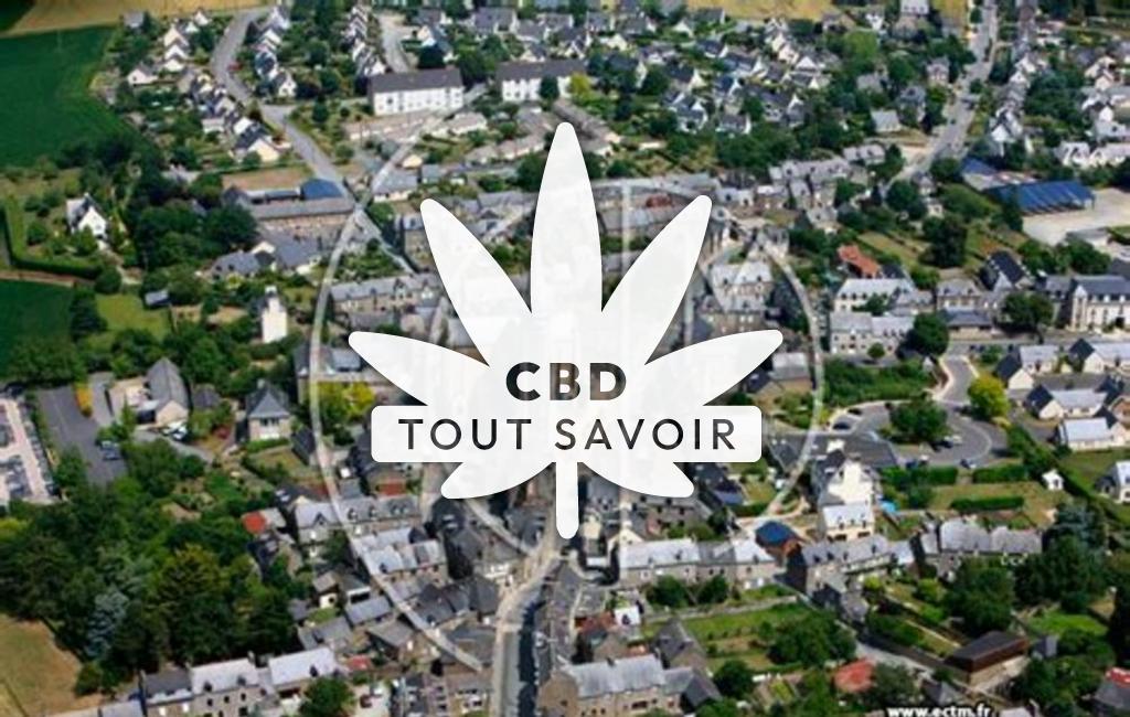 Village à Pleudihen-sur-Rance avec feuille Cannabis CBD