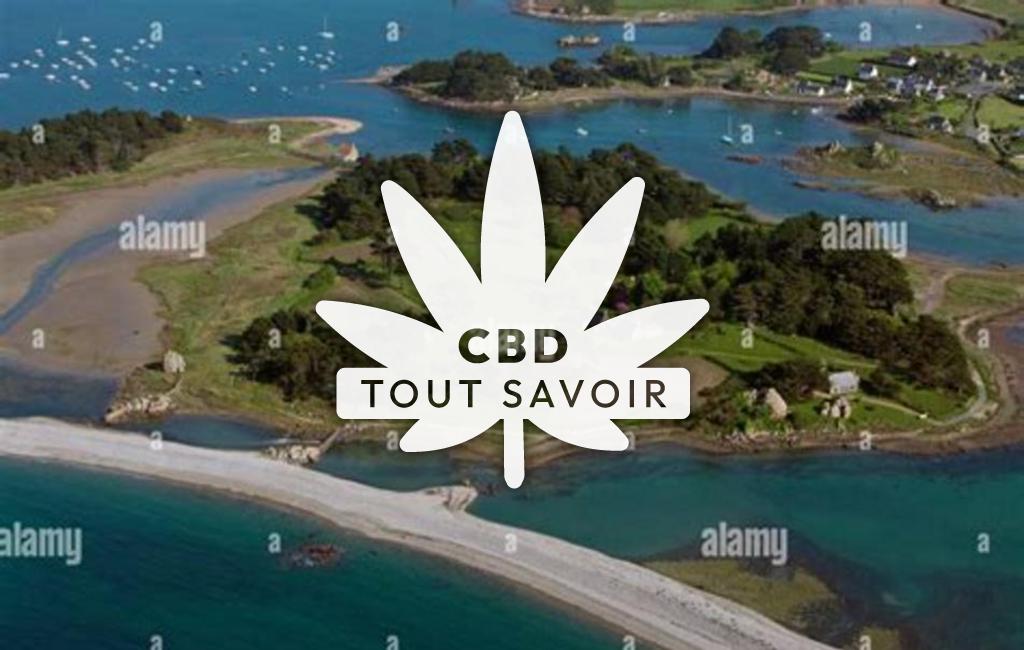 Village à Penvenan avec feuille Cannabis CBD
