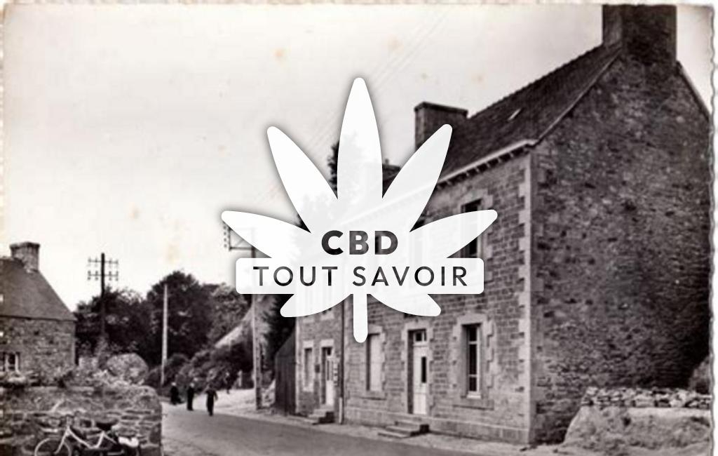 Village à Plesidy avec feuille Cannabis CBD