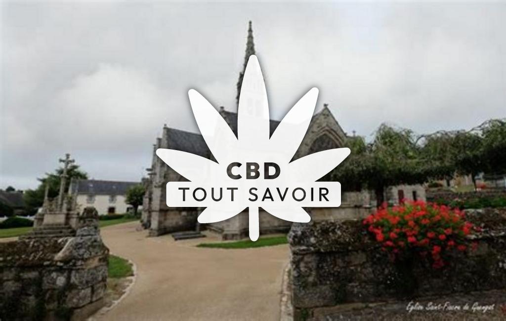 Village à Saint-Fiacre avec feuille Cannabis CBD