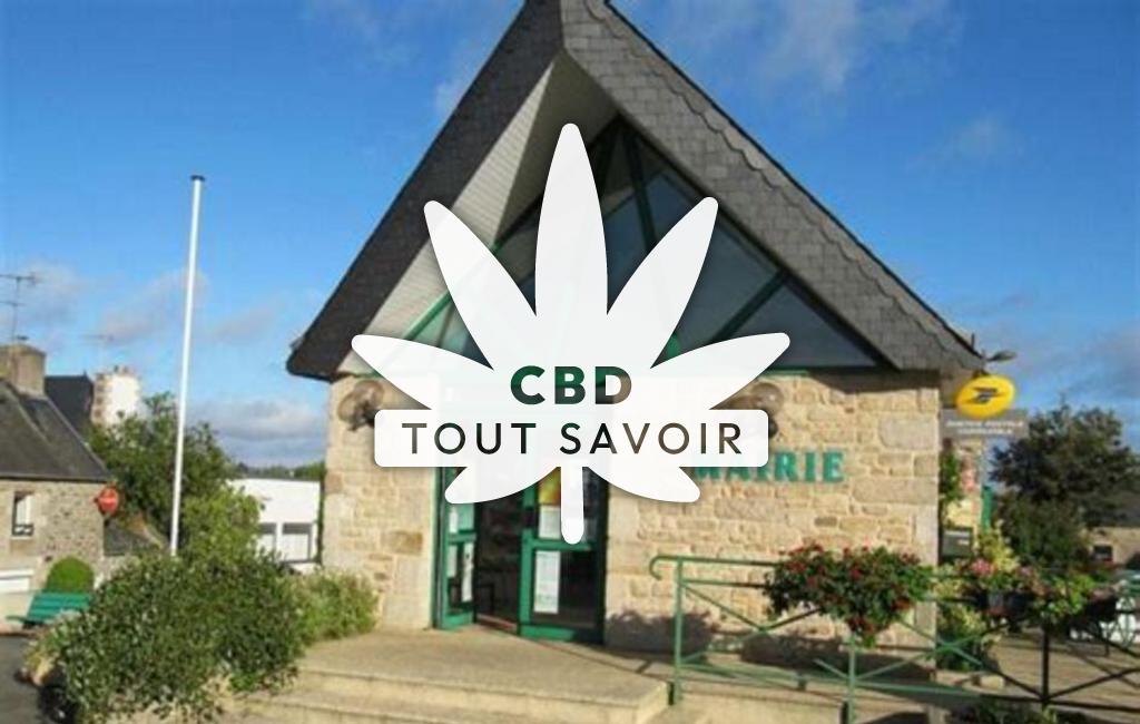 Village à Pleudaniel avec feuille Cannabis CBD