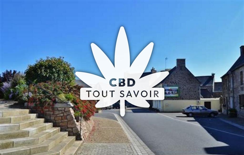 Village à Pleumeur-Gautier avec feuille Cannabis CBD