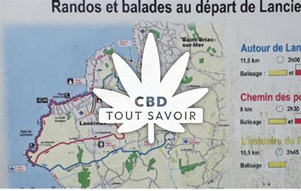 Village à Lancieux avec feuille Cannabis CBD