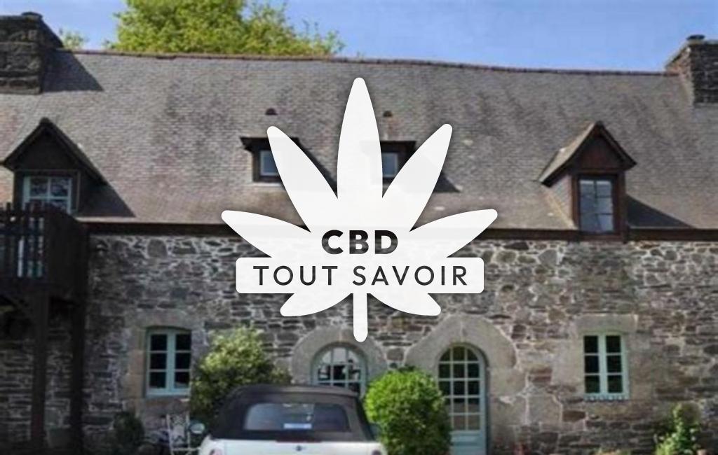 Village à Loguivy-Plougras avec feuille Cannabis CBD