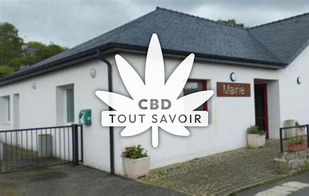 Village à Saint-Bihy avec feuille Cannabis CBD