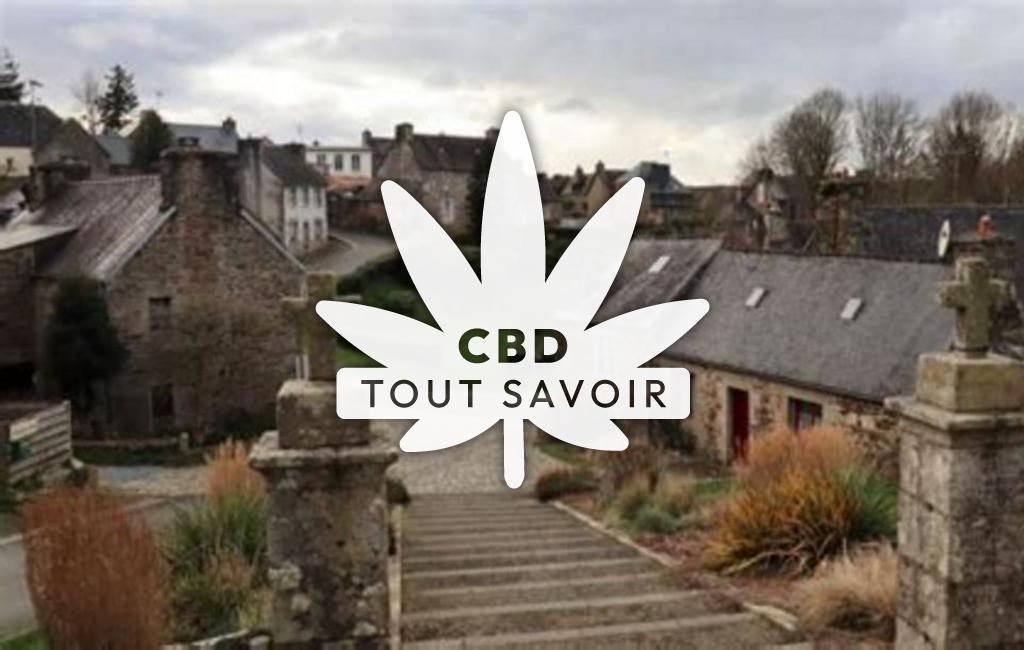 Village à Loc-Envel avec feuille Cannabis CBD
