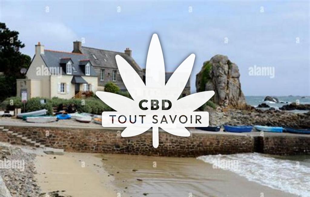 Village à Plougrescant avec feuille Cannabis CBD