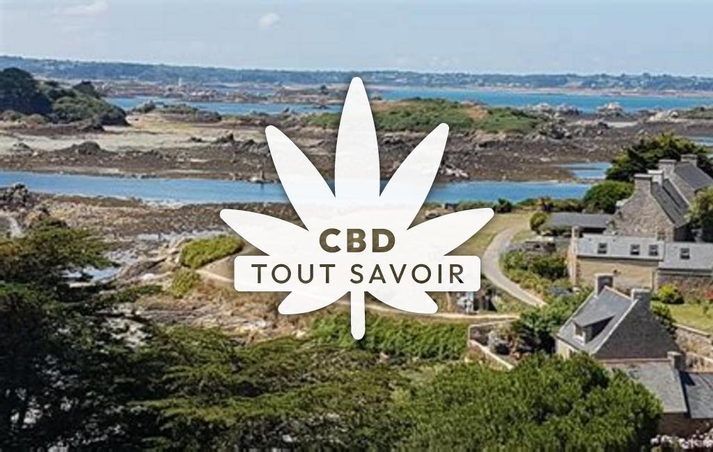 Village à Ile-de-Brehat avec feuille Cannabis CBD