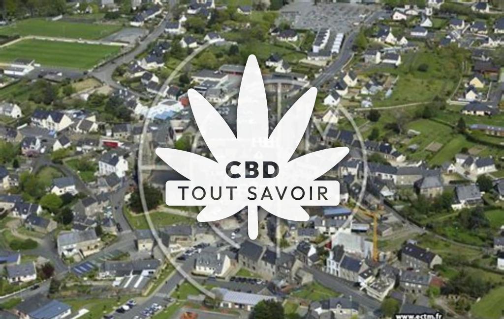 Village à Plaintel avec feuille Cannabis CBD