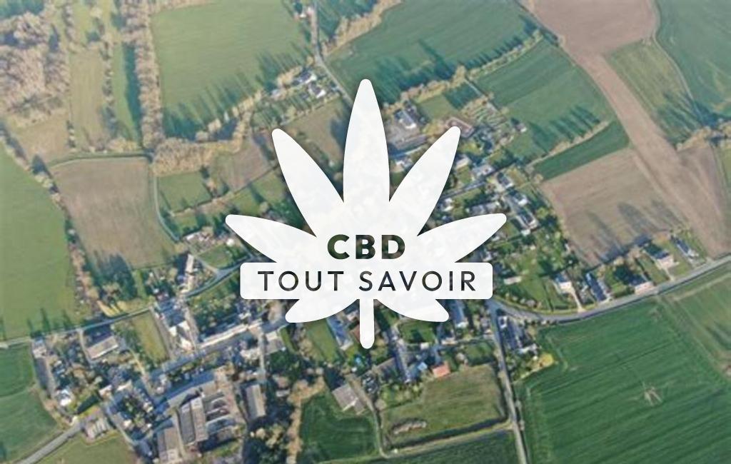 Village à Saint-Michel-de-Plelan avec feuille Cannabis CBD