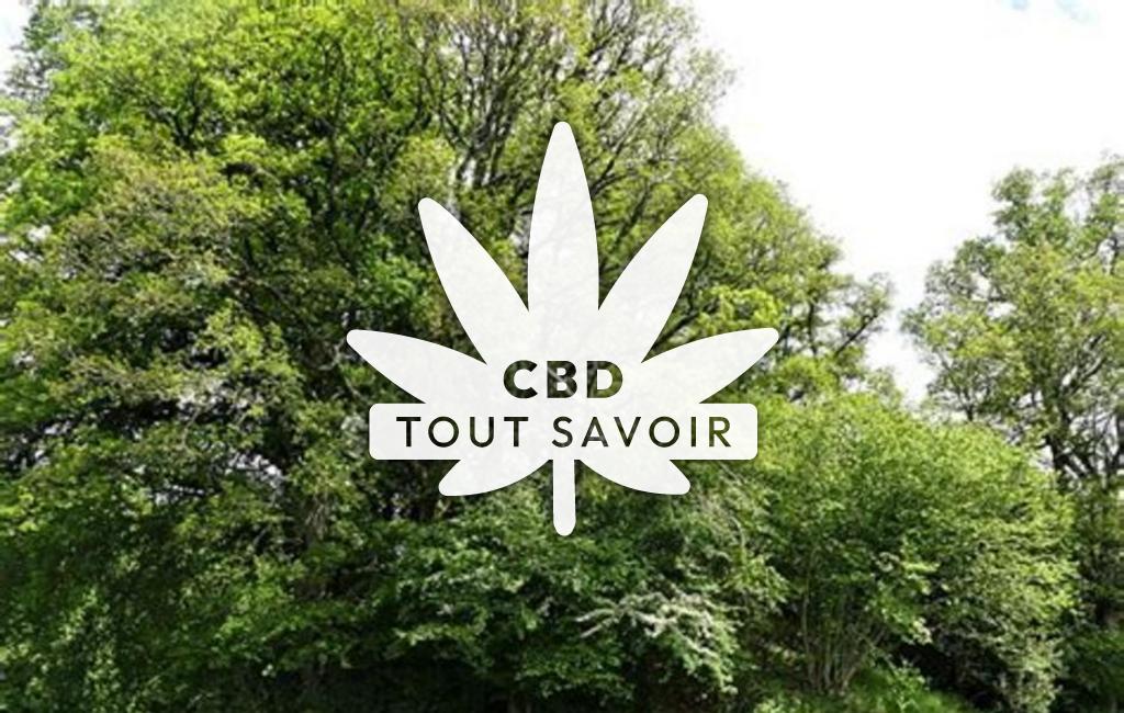 Village à Saint-Oradoux-de-Chirouze avec feuille Cannabis CBD