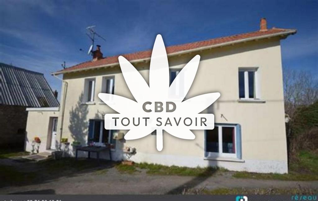 Village à Issoudun-Letrieix avec feuille Cannabis CBD