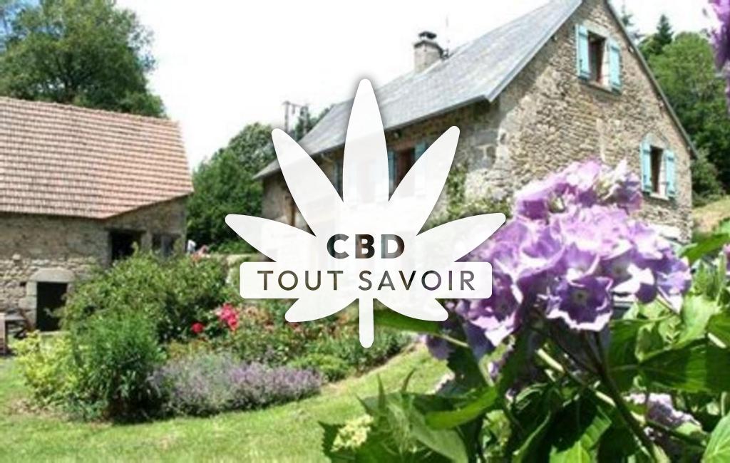 Village à Lepinas avec feuille Cannabis CBD