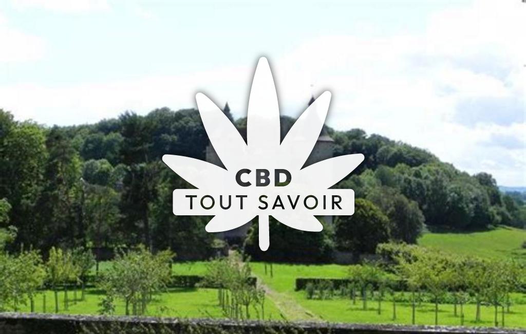 Village à Saint-Pardoux-les-Cards avec feuille Cannabis CBD