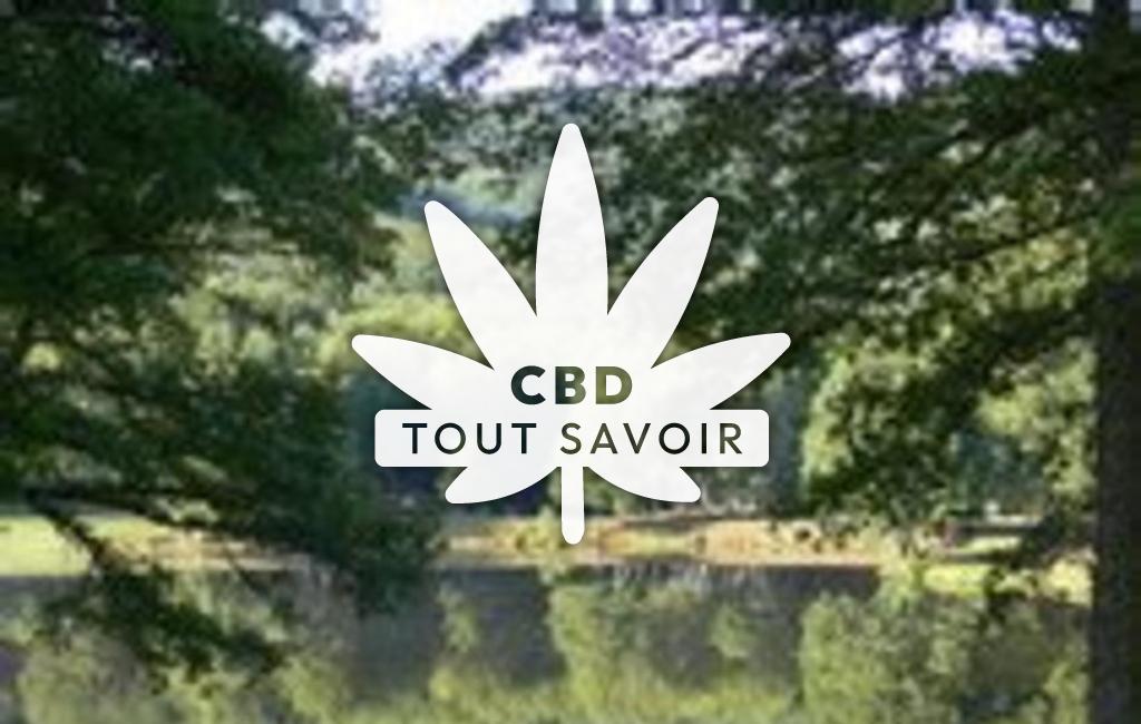 Village à Saint-Yrieix-les-Bois avec feuille Cannabis CBD