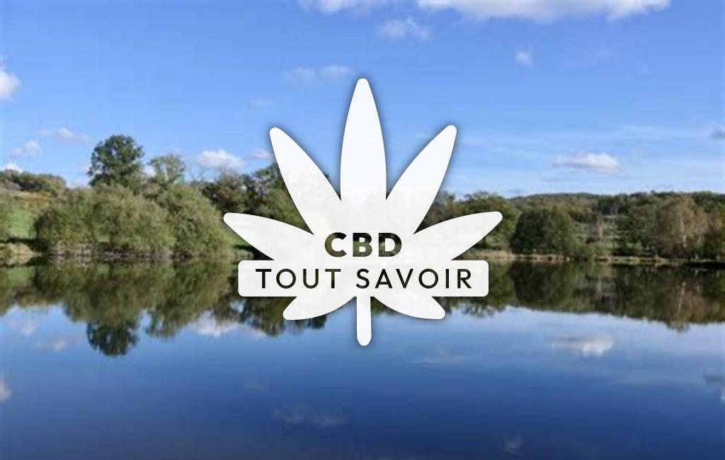 Village à Lupersat avec feuille Cannabis CBD
