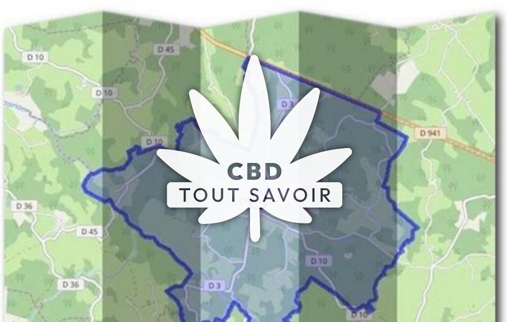 Village à Chavanat avec feuille Cannabis CBD