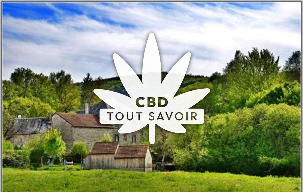 Village à Vidaillat avec feuille Cannabis CBD