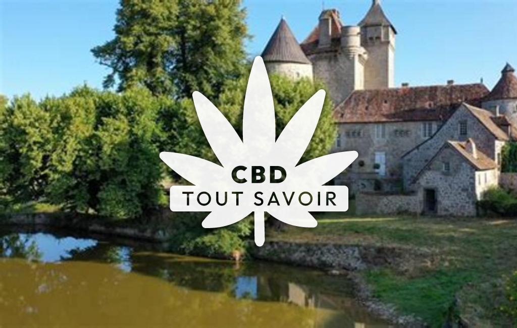 Village à La-Villeneuve avec feuille Cannabis CBD