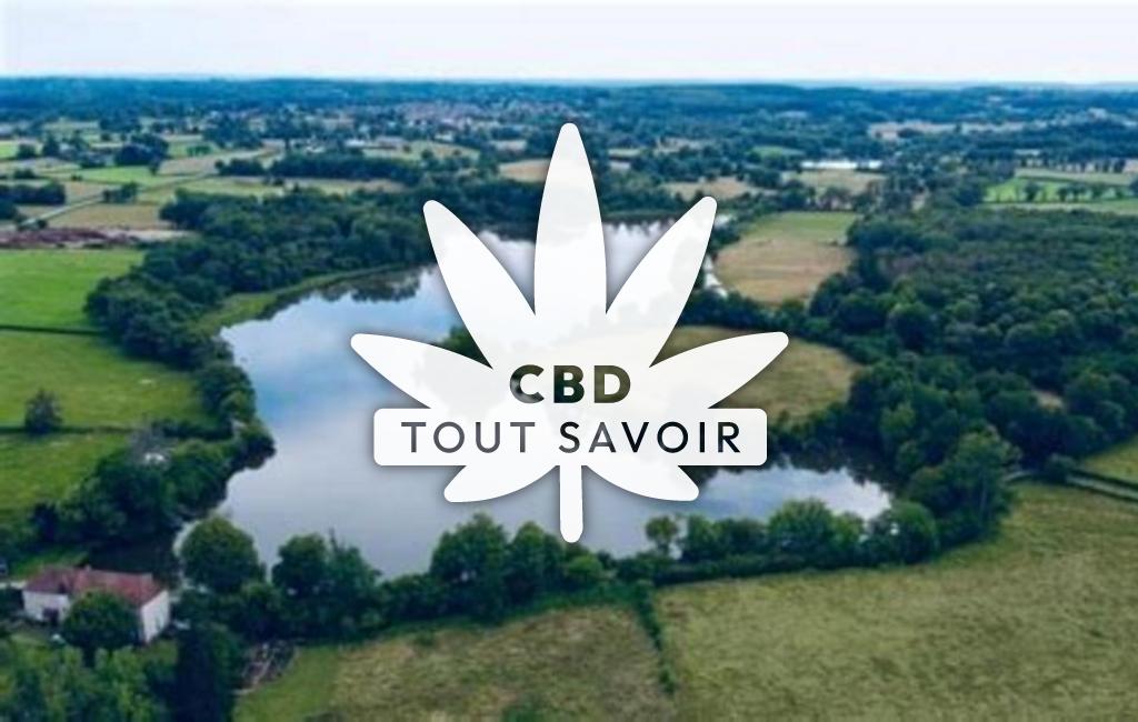 Village à Malleret avec feuille Cannabis CBD