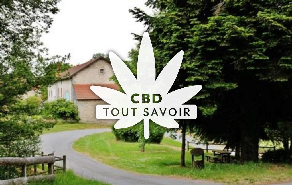 Village à Saint-Pardoux-D'Arnet avec feuille Cannabis CBD