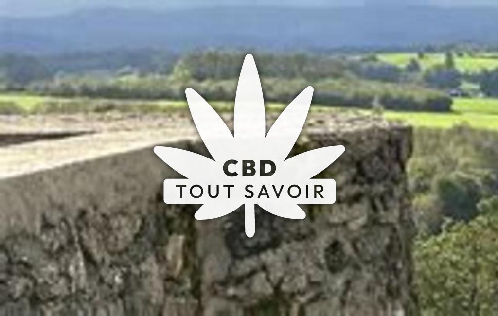 Village à Montaigut-le-Blanc avec feuille Cannabis CBD