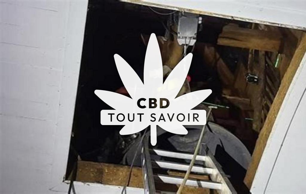 Village à Saint-Silvain-Montaigut avec feuille Cannabis CBD
