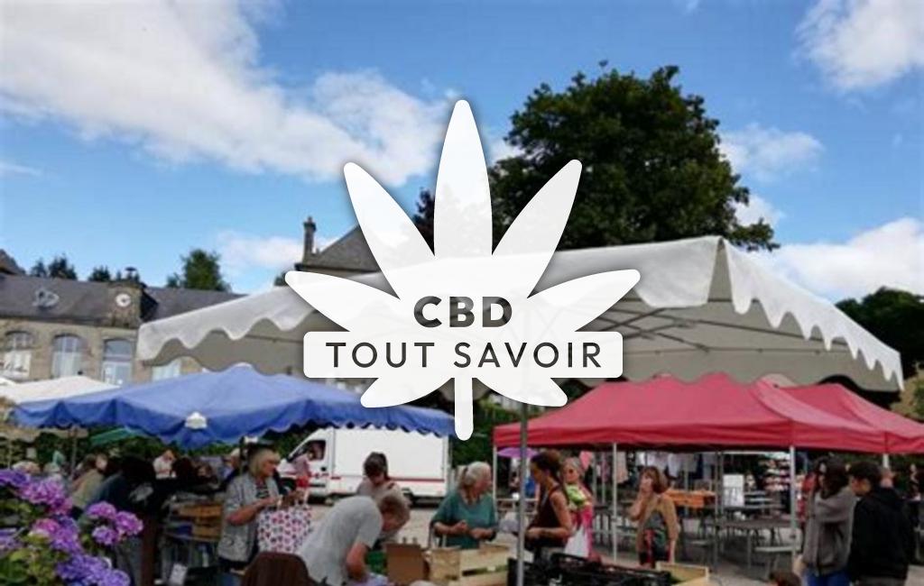 Village à Gentioux-Pigerolles avec feuille Cannabis CBD