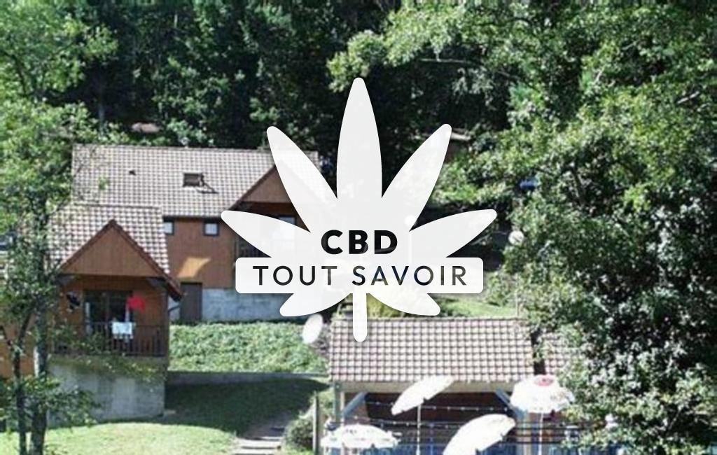 Village à Chatelus-le-Marcheix avec feuille Cannabis CBD