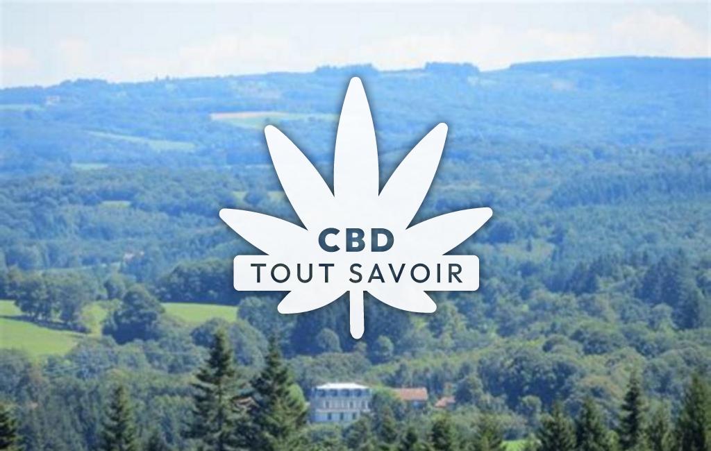 Village à Saint-Pierre-Bellevue avec feuille Cannabis CBD