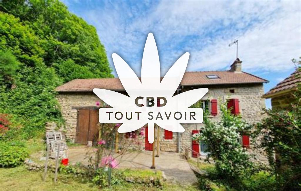 Village à Saint-Michel-de-Veisse avec feuille Cannabis CBD
