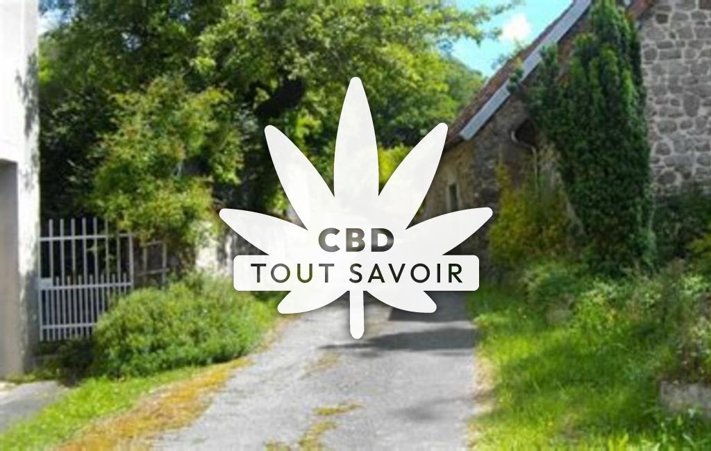 Village à Clairavaux avec feuille Cannabis CBD