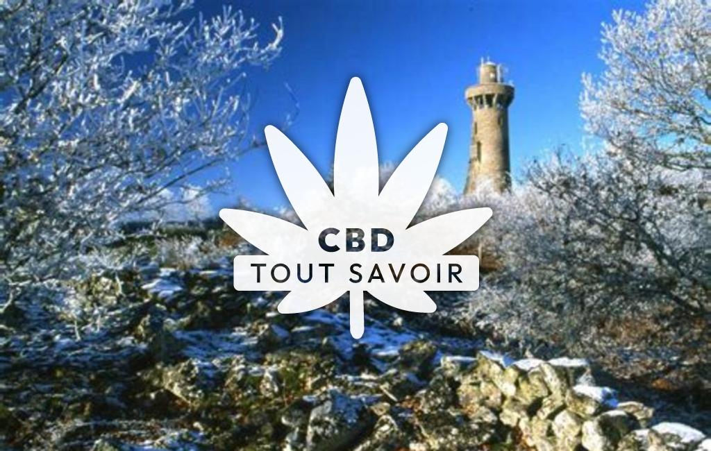 Village à Toulx-Sainte-Croix avec feuille Cannabis CBD