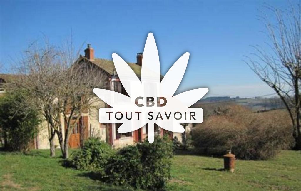 Village à Chatelard avec feuille Cannabis CBD