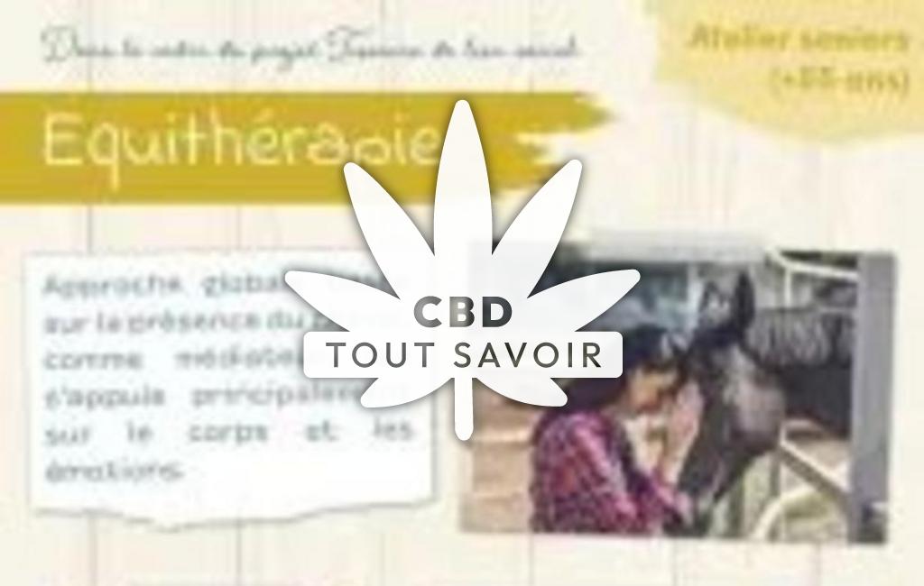 Village à Leguillac-de-l'Auche avec feuille Cannabis CBD