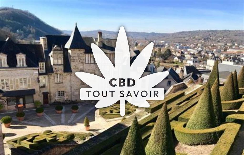 Village à Terrasson-Lavilledieu avec feuille Cannabis CBD