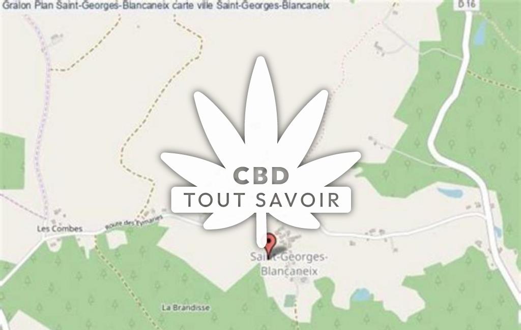 Village à Saint-Georges-Blancaneix avec feuille Cannabis CBD