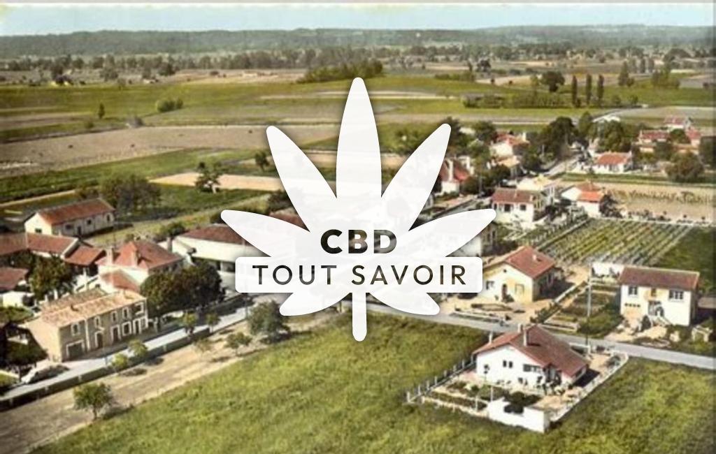 Village à Saint-Pierre-D'Eyraud avec feuille Cannabis CBD