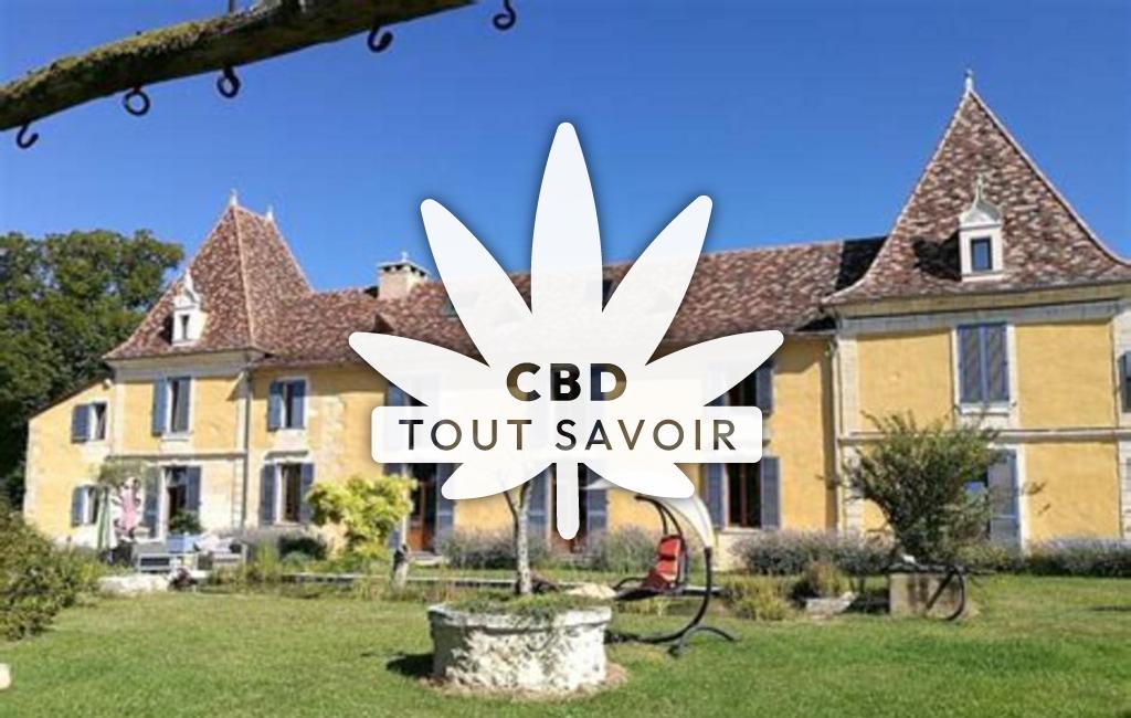 Village à Montagnac-la-Crempse avec feuille Cannabis CBD