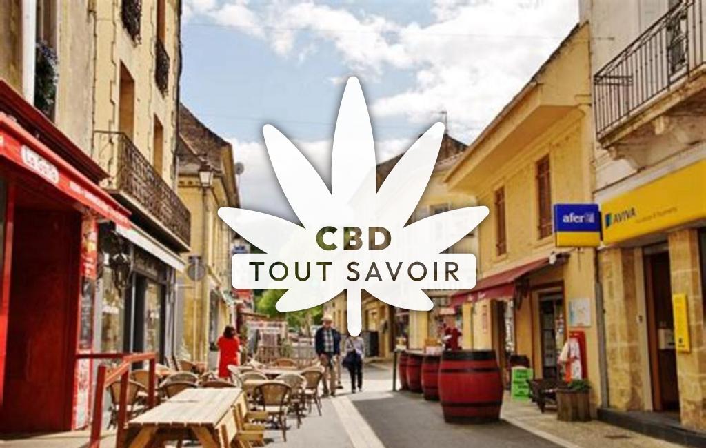 Village à Baneuil avec feuille Cannabis CBD