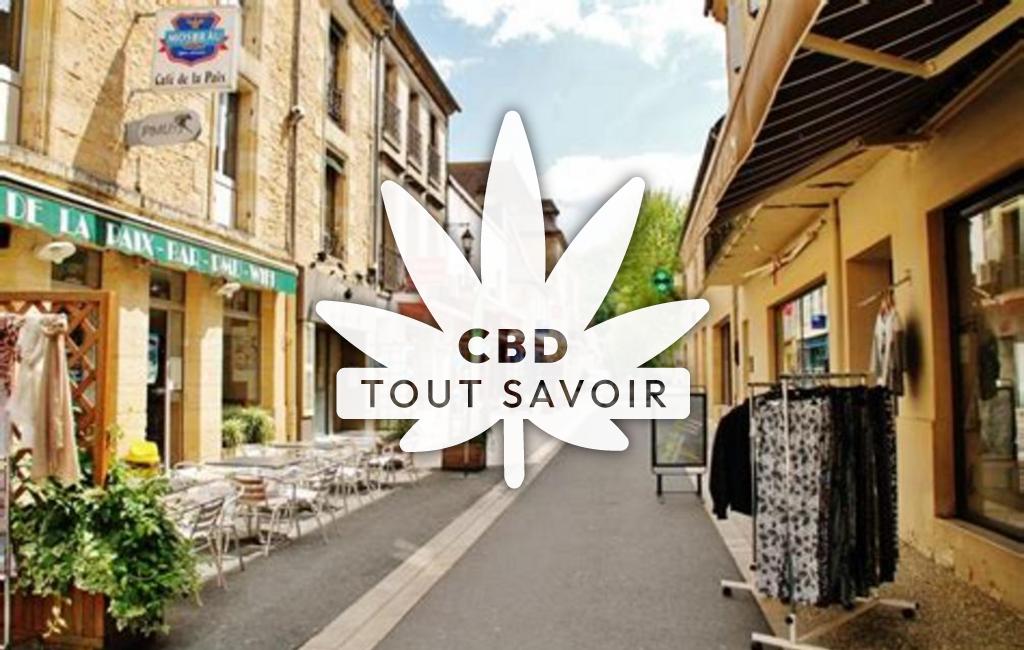 Village à Pontours avec feuille Cannabis CBD