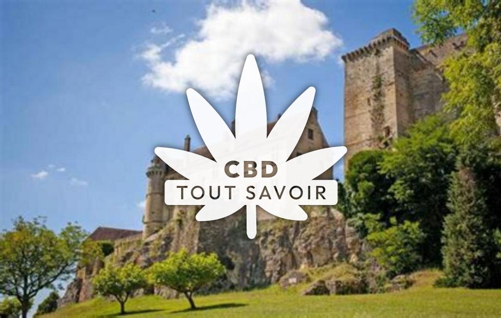 Village à Clermont-D'Excideuil avec feuille Cannabis CBD